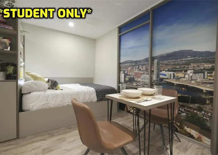 Student Only Zeni Studios In Belfast